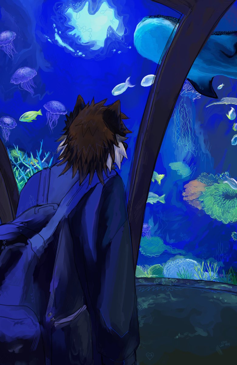 kovuah's tweet image. aquarium, again... who could&apos;ve guessed