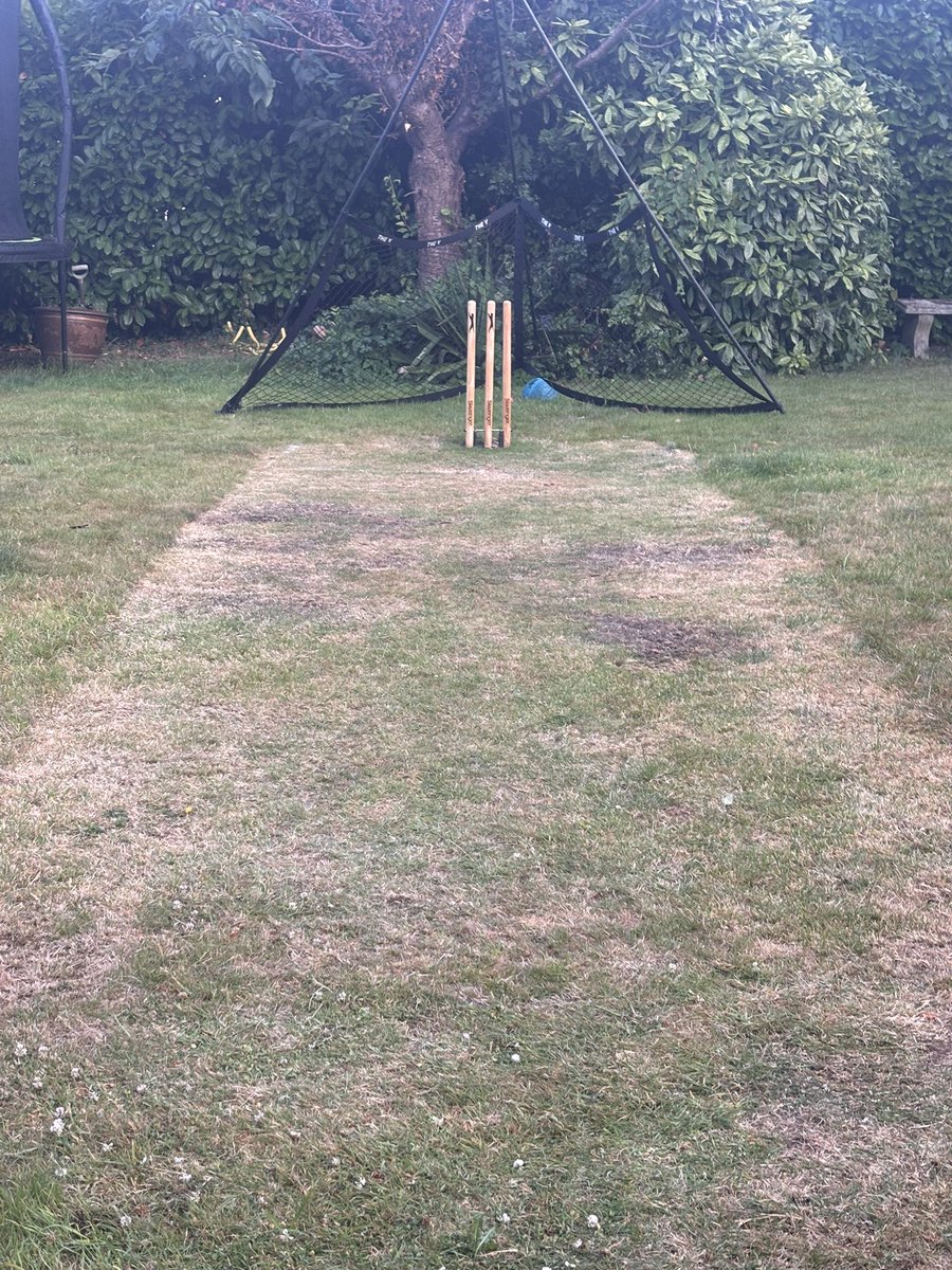 Céline Jones (@celinesjones) on Twitter photo Went away for 3 days and came back to a cricket pitch for when <a href="/marnus3cricket/">Marnus Labuschagne</a> wants to play at ours 🙄😳 Went away for 3 days and came back to a cricket pitch for when <a href="/marnus3cricket/">Marnus Labuschagne</a> wants to play at ours 🙄😳