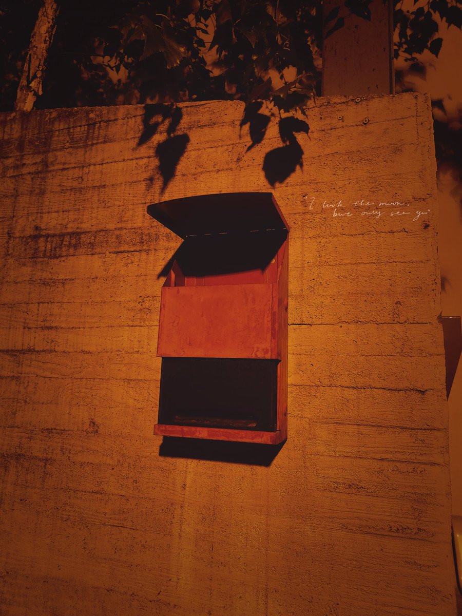 내 불면증의 팔 할은 네 탓인 거야