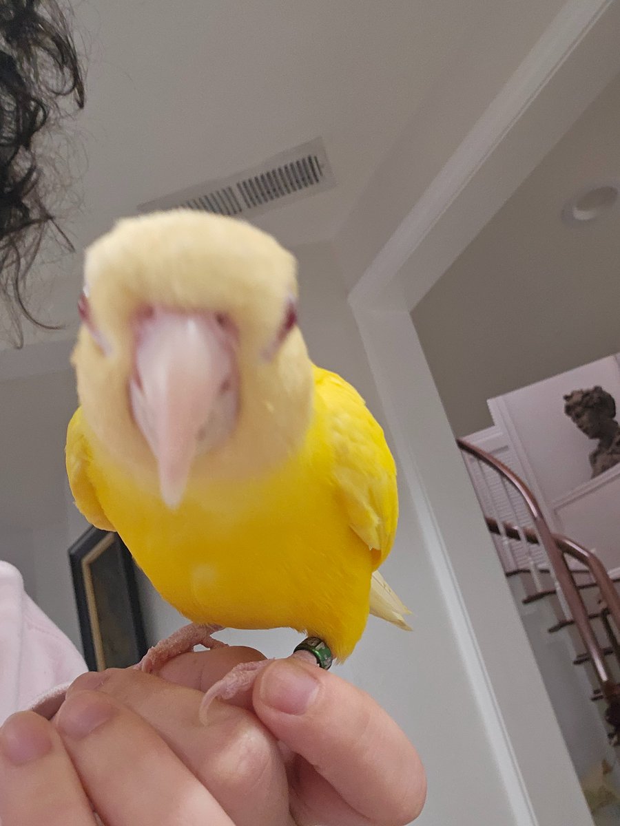 BITE 🤠🌵 tweet media