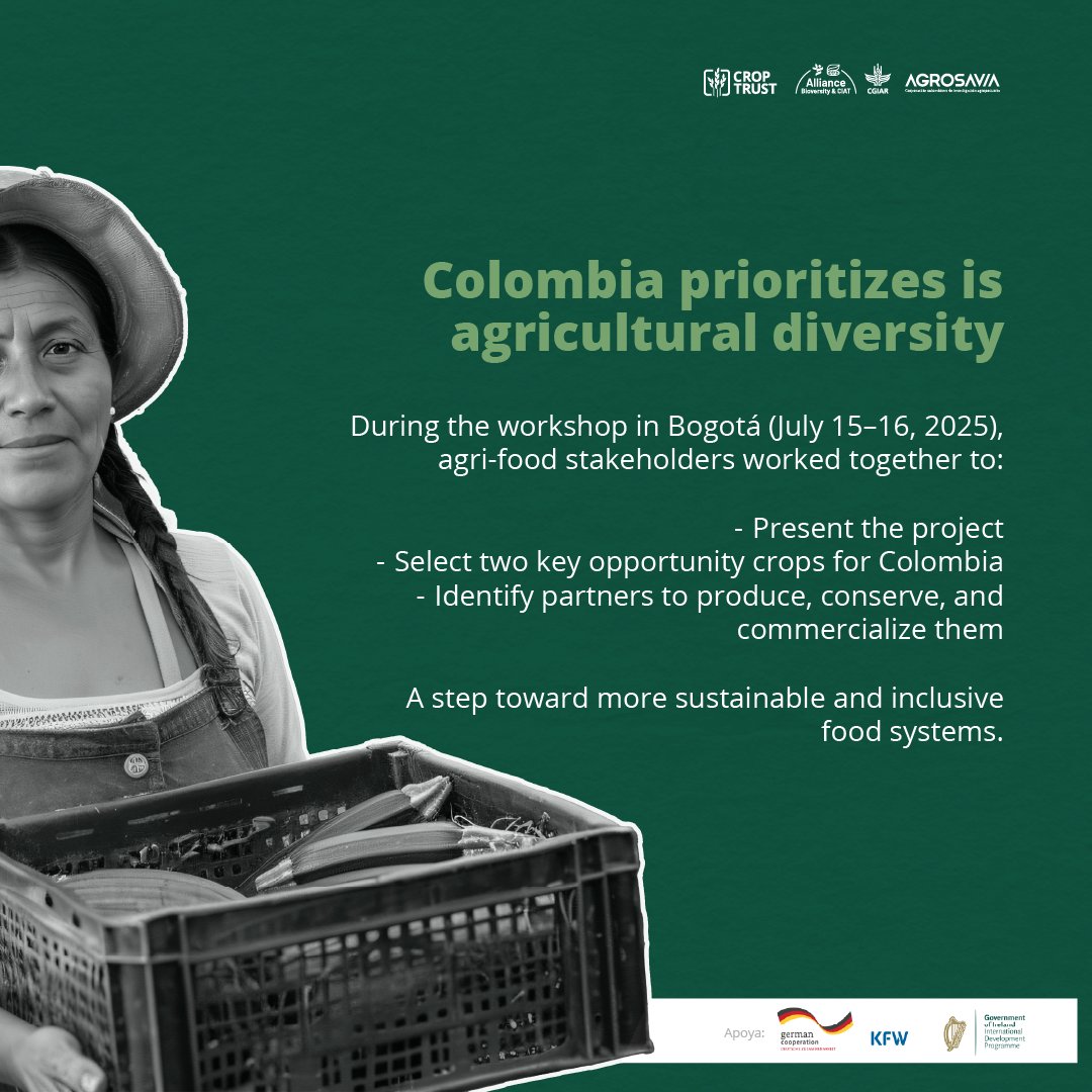 📢🤝 On July 15–16, 2025, Bogotá will host the national workshop of the Power of Diversity Funding Facility project by the Crop Trust: an international initiative that promotes the conservation, cultivation and consumption of these crops across Latin America, Africa and Asia.