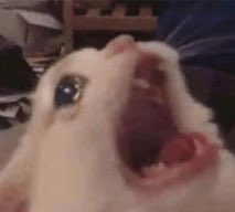 Christina ✨ tweet media