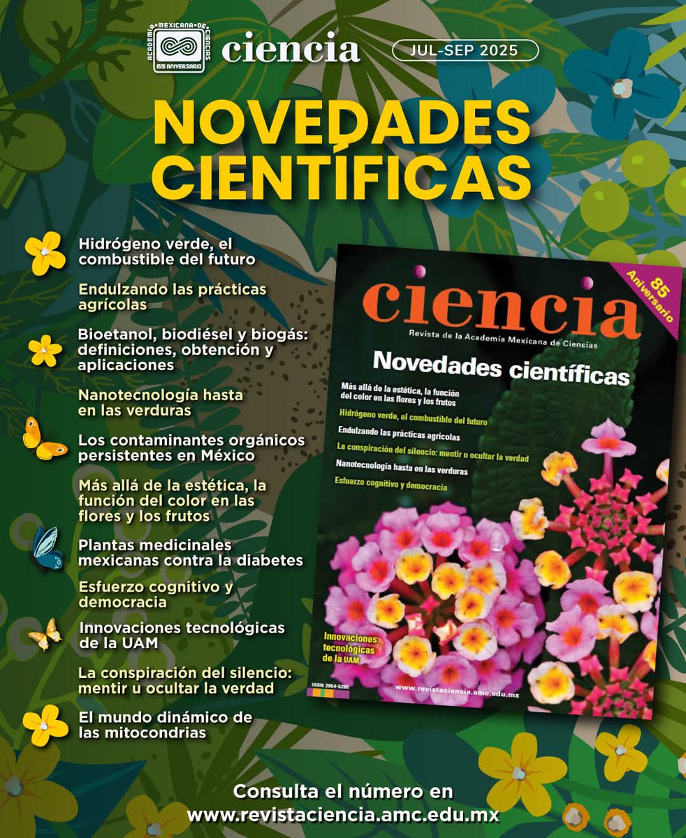 CienciaAMC's tweet image. ✨🌞 En este número de &quot;Novedades científicas&quot; conocerás más sobre fuentes de energía renovable ♻️, el uso de la miel en la agricultura 🐝, enfermedades de gatos a humanos 🐱 y minerales con propiedades cuánticas. ⚛️

📖 Consulta la edición completa: bit.ly/Ciencia762