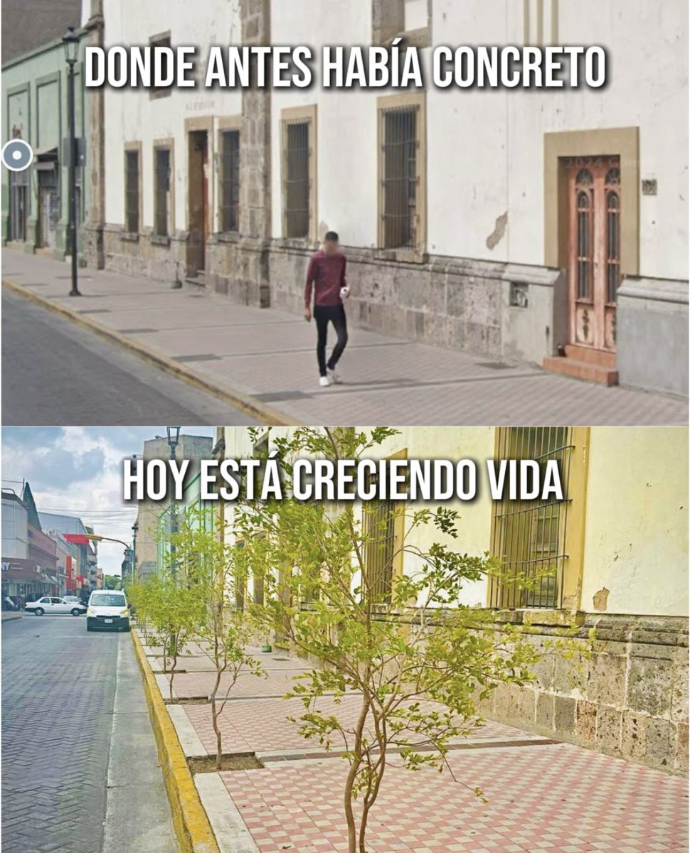 Gobierno de Guadalajara (@guadalajaragob) on Twitter photo Estamos trabajando para hacer de Guadalajara la ciudad más verde del país:
Así estaba la calle Contreras Medellín, llena de concreto y hoy, la llenamos de árboles.
Tú también ayúdanos: cuida un árbol, cuida la ciudad. Solicítalo en: arboladourbano@guadalajara.gob.mx Estamos trabajando para hacer de Guadalajara la ciudad más verde del país:
Así estaba la calle Contreras Medellín, llena de concreto y hoy, la llenamos de árboles.
Tú también ayúdanos: cuida un árbol, cuida la ciudad. Solicítalo en: arboladourbano@guadalajara.gob.mx