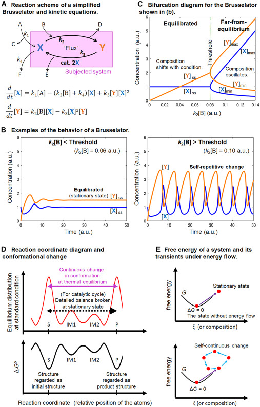 Chem_CP's tweet image. Online now: Catalyst: Advancing nonequilibrium chemistry by clarifying misconceptions dlvr.it/TLw1ST