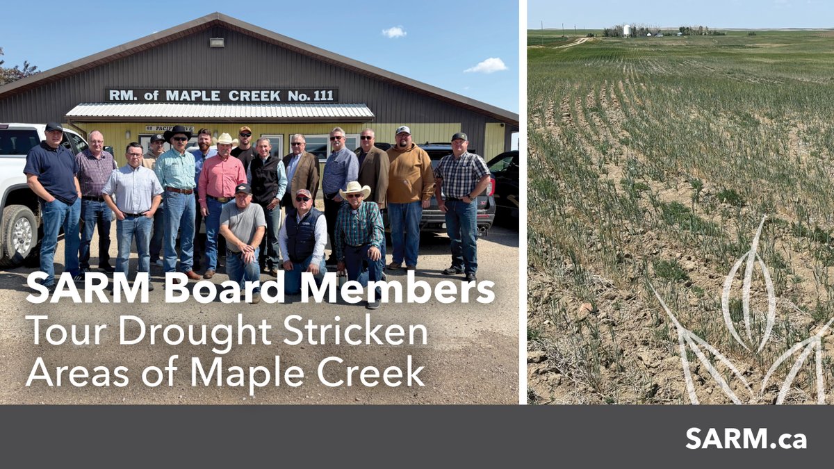 SARM (@sarm_voice) on Twitter photo Members of the SARM board toured areas affected by drought in the RM of Maple Creek with the Sask Minister of Agriculture <a href="/DarylHarrison20/">Daryl Harrison</a>. SARM will continue to advocate for assistance for the drought stricken areas throughout the province. #RuralMatters #SKAg #CDNAg Members of the SARM board toured areas affected by drought in the RM of Maple Creek with the Sask Minister of Agriculture <a href="/DarylHarrison20/">Daryl Harrison</a>. SARM will continue to advocate for assistance for the drought stricken areas throughout the province. #RuralMatters #SKAg #CDNAg