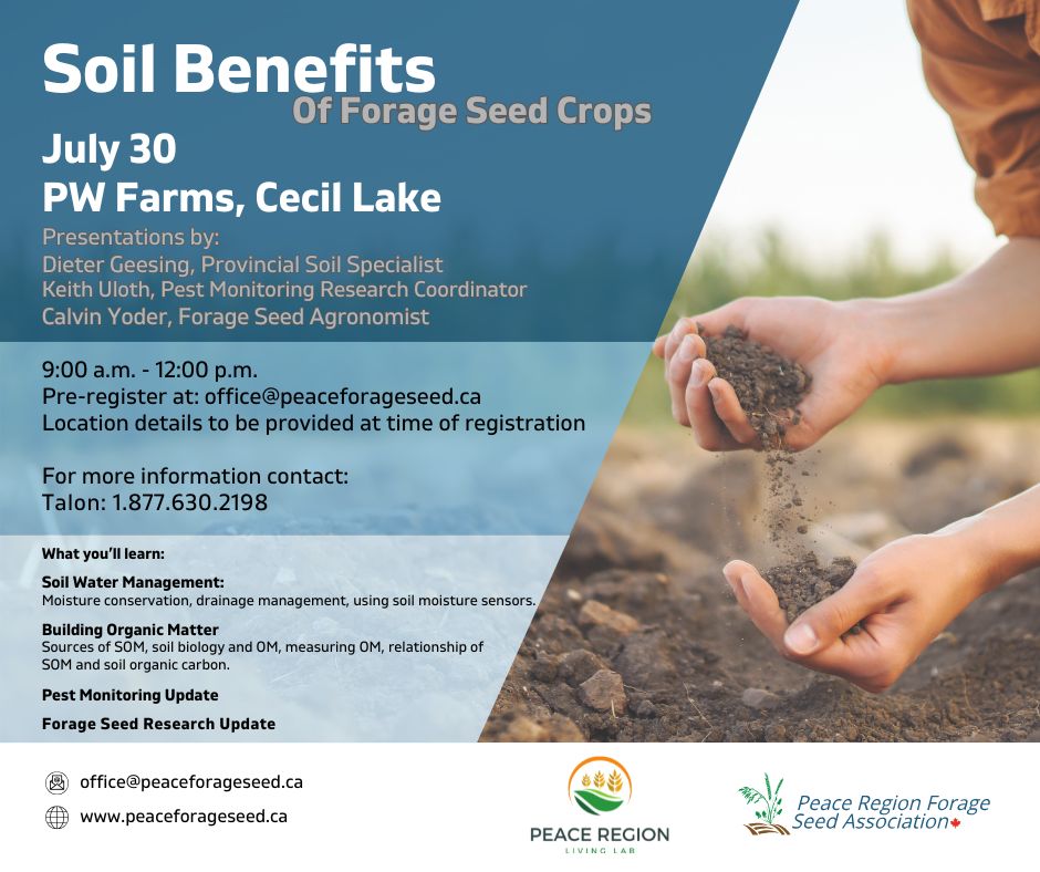 Peace Living Lab (@peace_livinglab) on Twitter photo Join us at PW Farms in Cecil Lake for a hands-on learning opportunity on Soil Benefits of Forage Seed Crops.
Register at office@peaceforageseed.ca
#PeaceRegionLivingLab #SoilHealth #PastureManagement #ForageFarming #SustainableAg #BCAg Join us at PW Farms in Cecil Lake for a hands-on learning opportunity on Soil Benefits of Forage Seed Crops.
Register at office@peaceforageseed.ca
#PeaceRegionLivingLab #SoilHealth #PastureManagement #ForageFarming #SustainableAg #BCAg