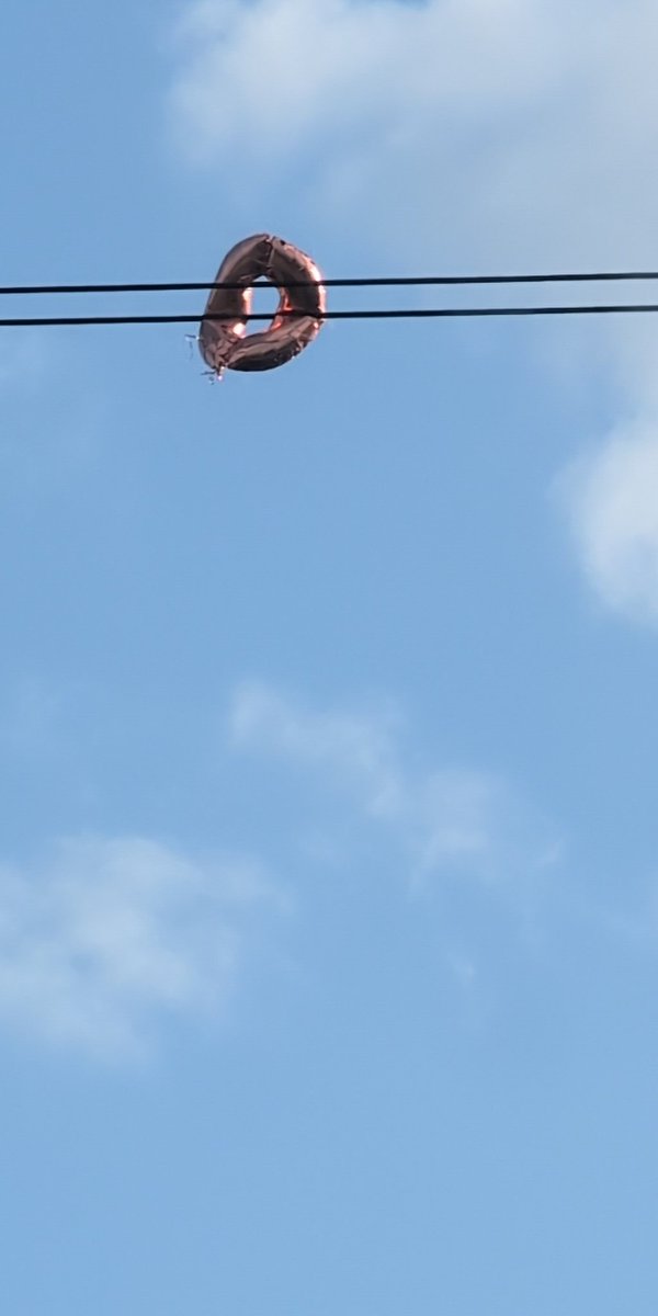 steven mapes tweet media