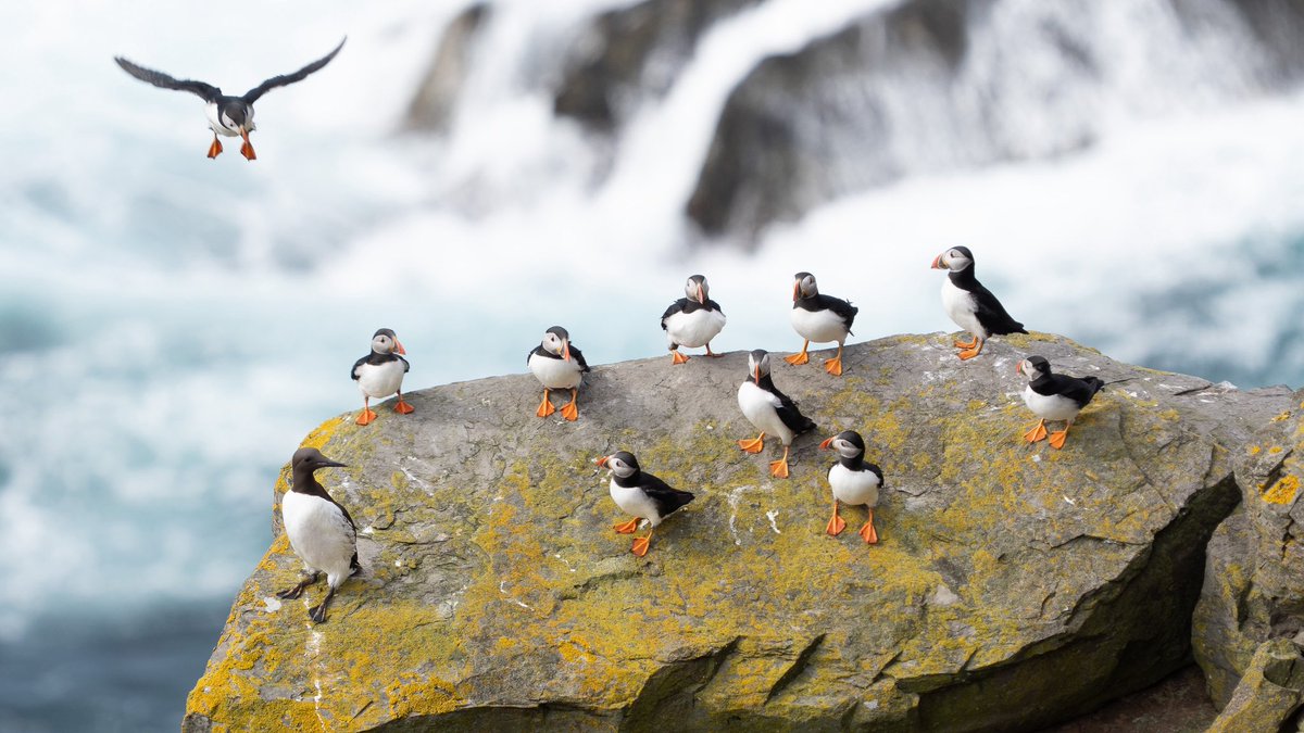 Ross Mackenzie tweet media