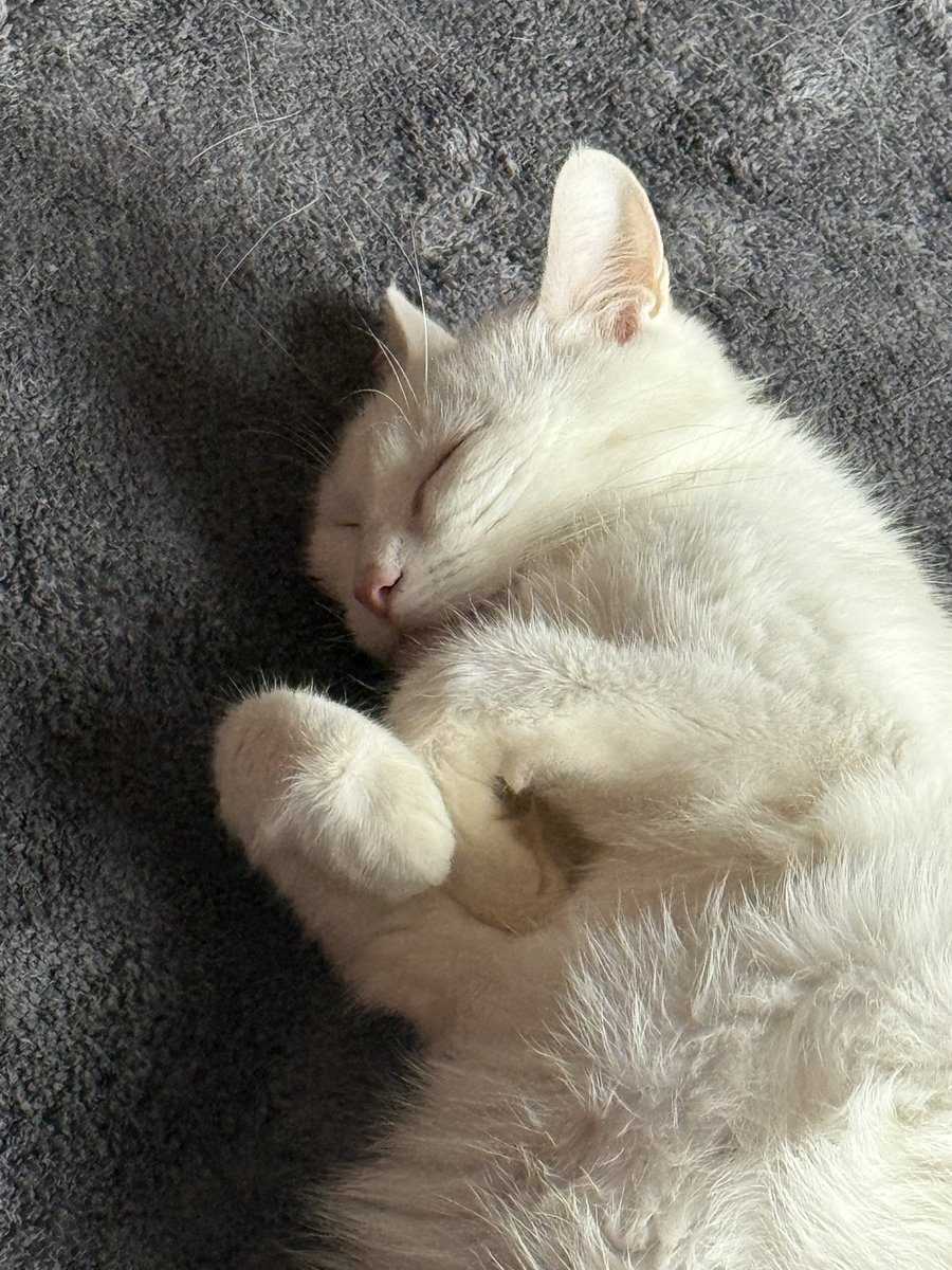 Ich liebe die beiden so sehr