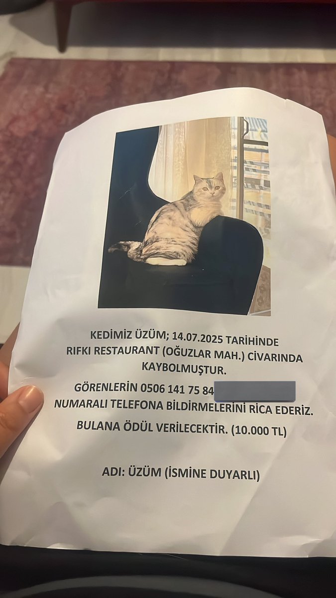 Saatlerdir gezmediğimiz bina bahçe kalmadı. Maalesef bebeğimi bulamadım. Dua edin lütfen 🙏🏻Ne olur kızım lütfen geri gel bana😖