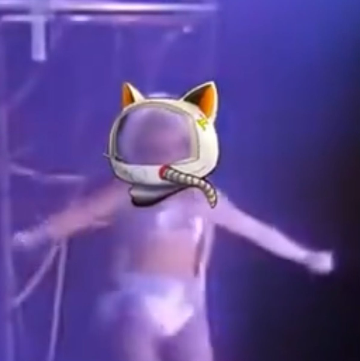 no₿ody, IQ 277 tweet media