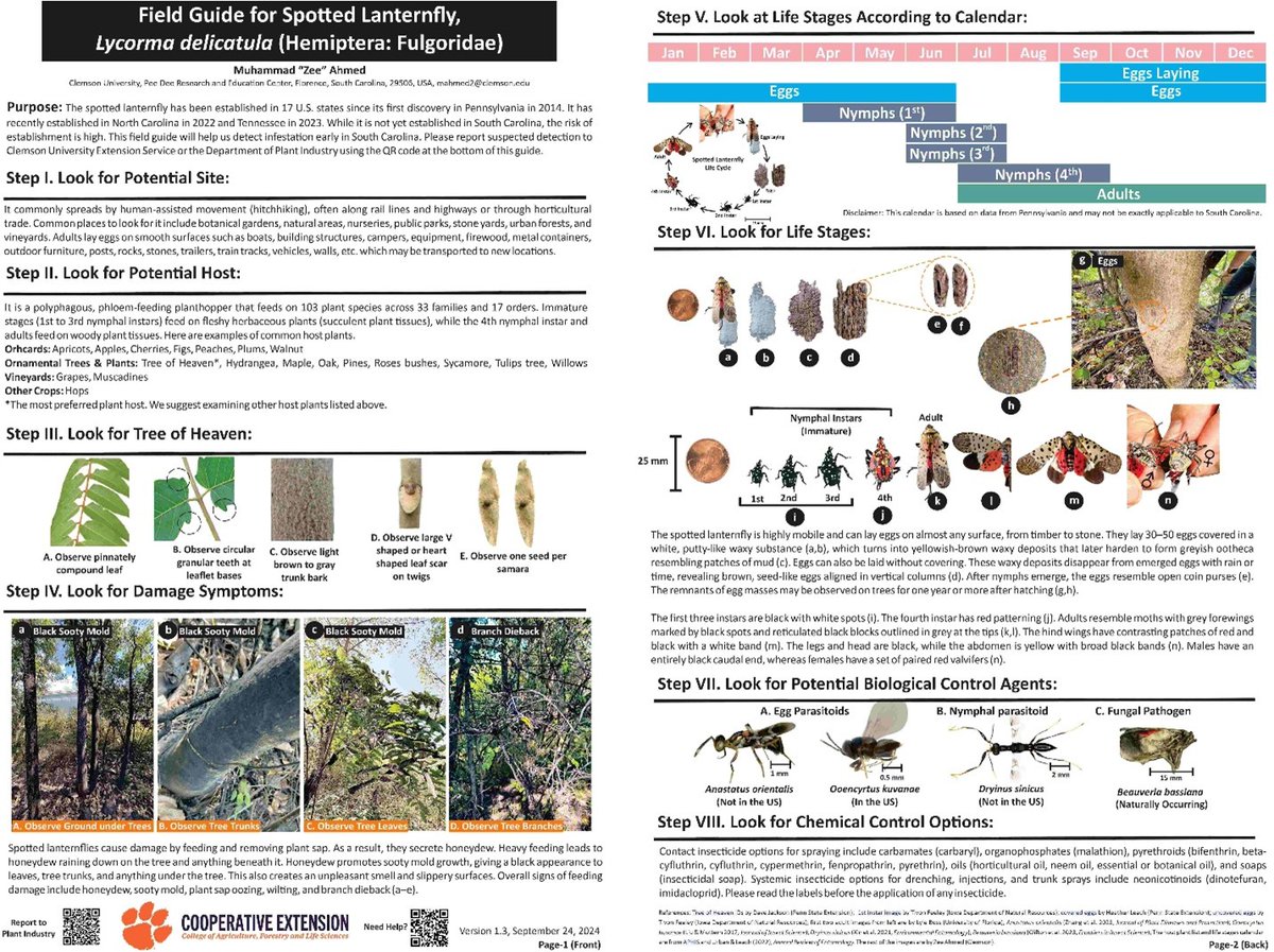 Spotted lanternfly has been detected in South Carolina. The insect is spreading fast throughout the US, threatening vineyards. If you find this insect in SC, please reach out to Dr. Ahmed at Clemson University who wrote the following guide!  #Spottedlanternfly #ClemsonCAFLS