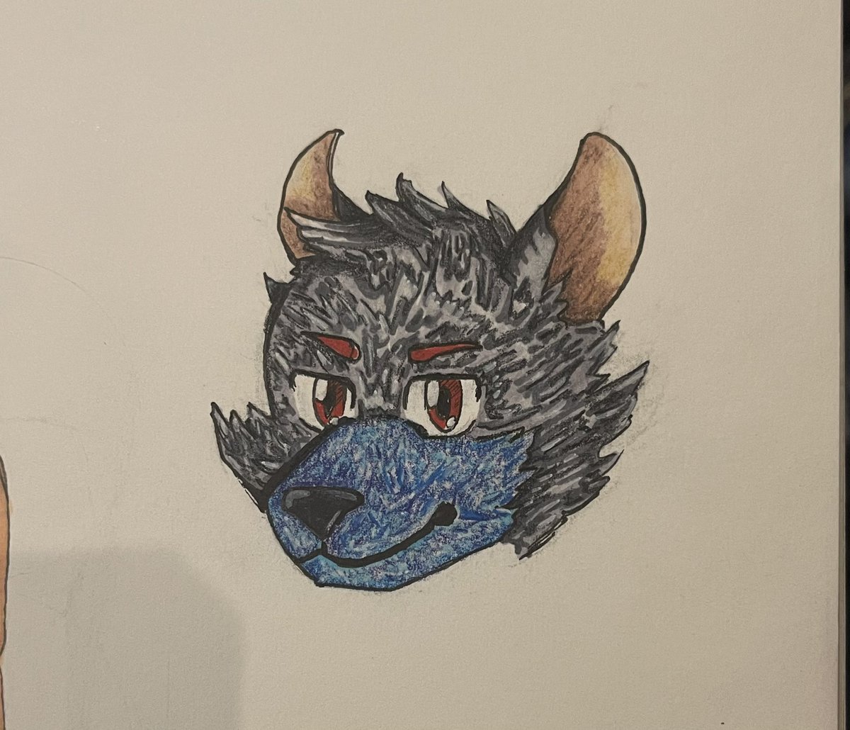BaraCub's tweet image. First attempt at a fur head…#FurryArt #Furry #FurryHead