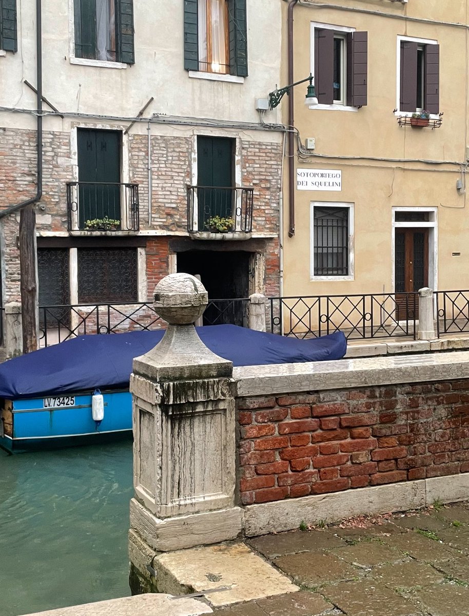 Giorgio Kaplanito  tweet media