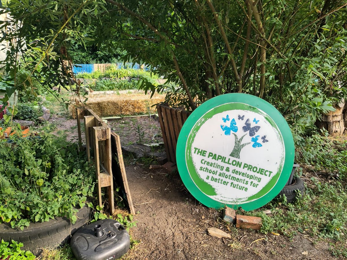 Allotment ready for day 1 of 2 impact days for year 8. <a href="/tsas_norwich/">Thorpe St Andrew School and Sixth Form</a> #nature