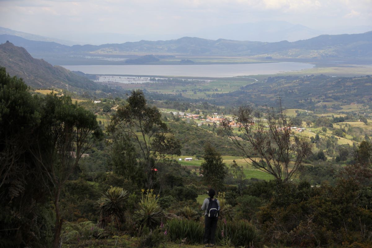 Nuestra Historia
ONGs se unen por la conservación de los humedales de alta montaña
Impulsan moción ante el Congreso Mundial de la Naturaleza de la UICN
colombiabellezapura.com/ongs-se-unen-p…
#ColombiaBellezaPura
#Colombia  #biodiversidade #Nature #UICN #Humedales