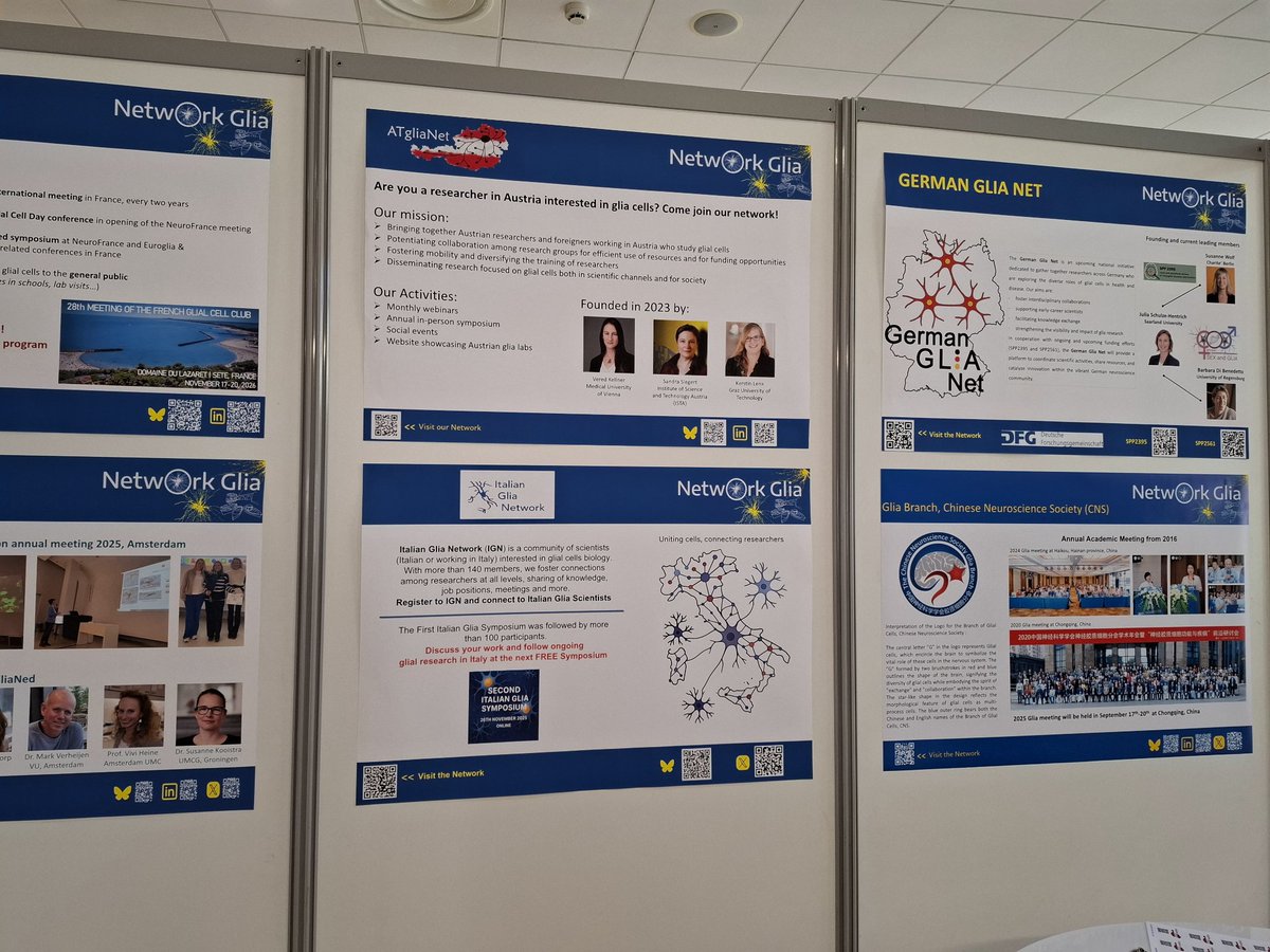 🇮🇹 For the first time, the Italian Glia Network was at the European GLIA Meeting in Marseille! Proud to represent Italian community and interact with all other Eropean and Canadian Glial Networks, sharing science and building future collaborations
#ItalianGliaNetwork #Glia
