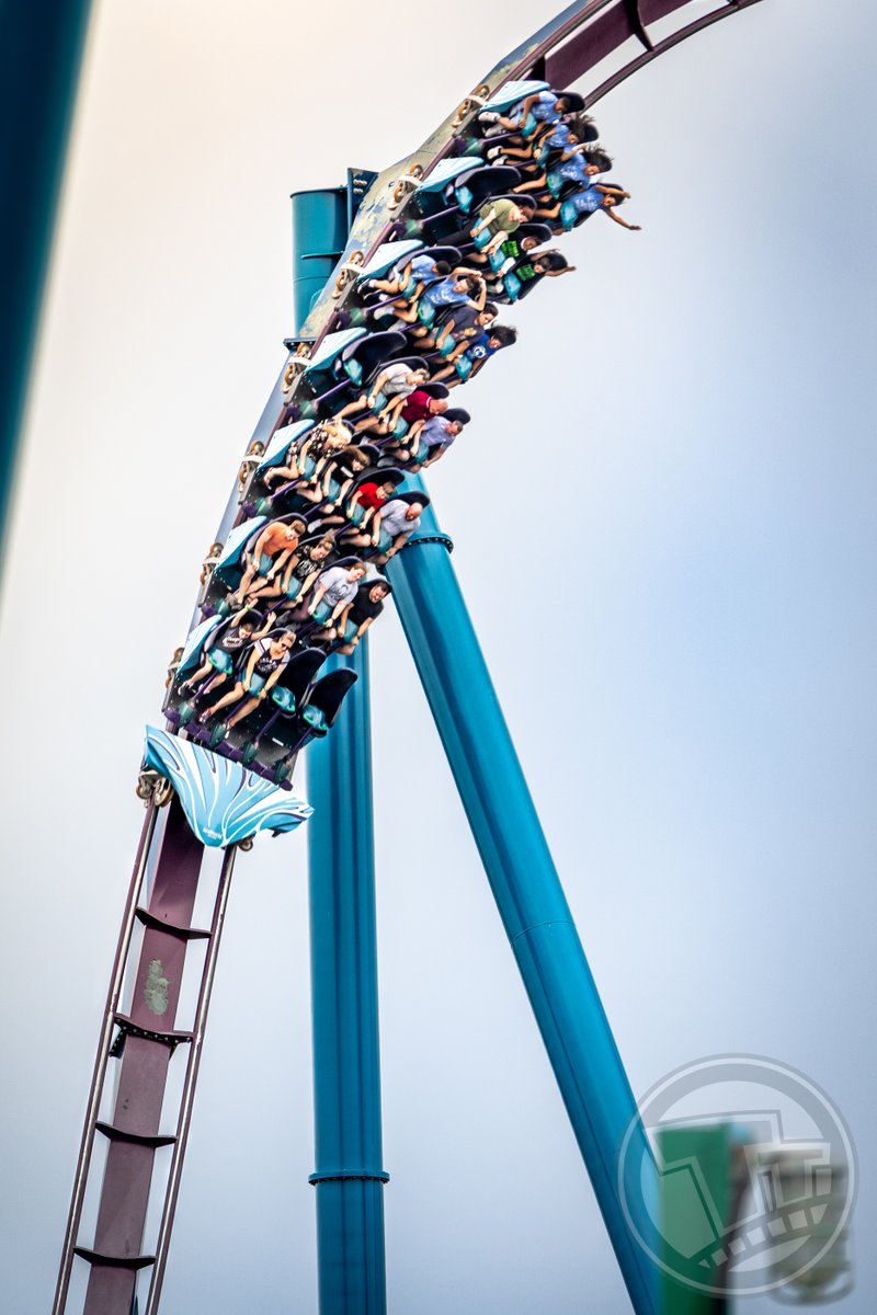 Thrilltography1's tweet image. 🎶Just another Mako Monday.🎶

@SeaWorld