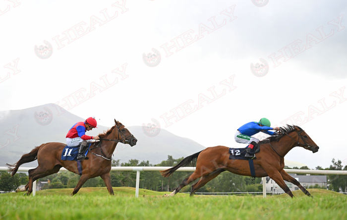 Pat Healy tweet media