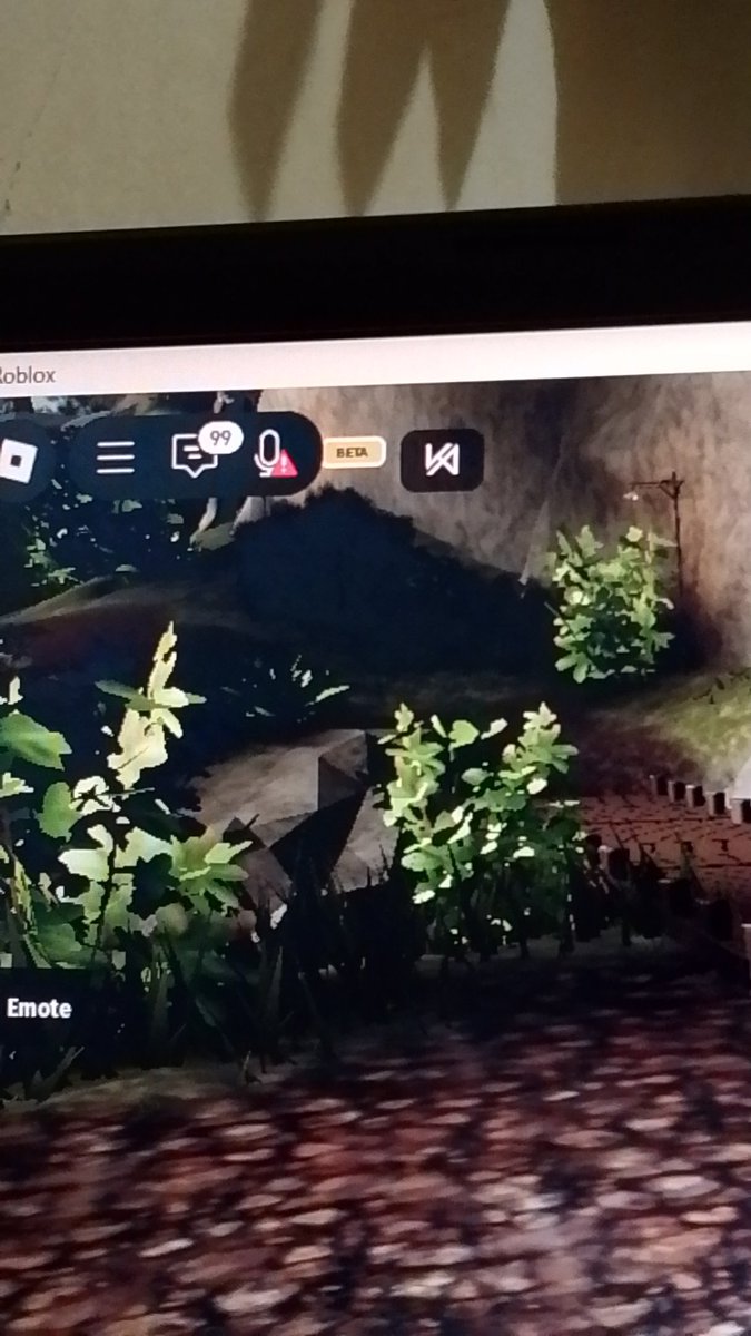 hak suara di bisukan kah