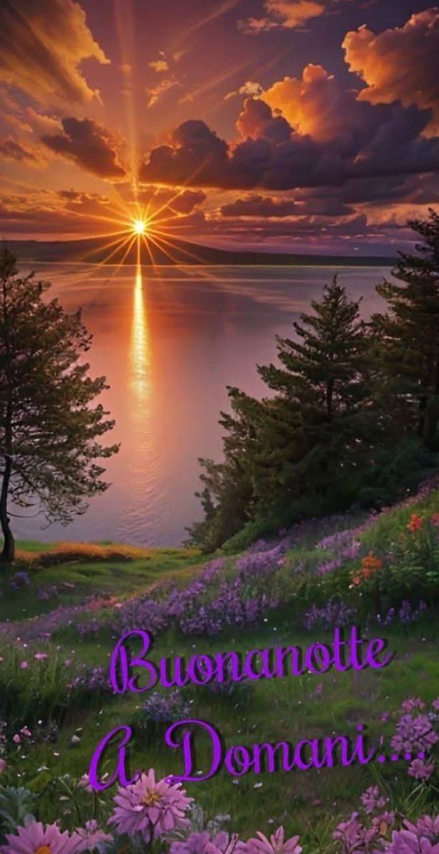 RITABIANCHi56 tweet media