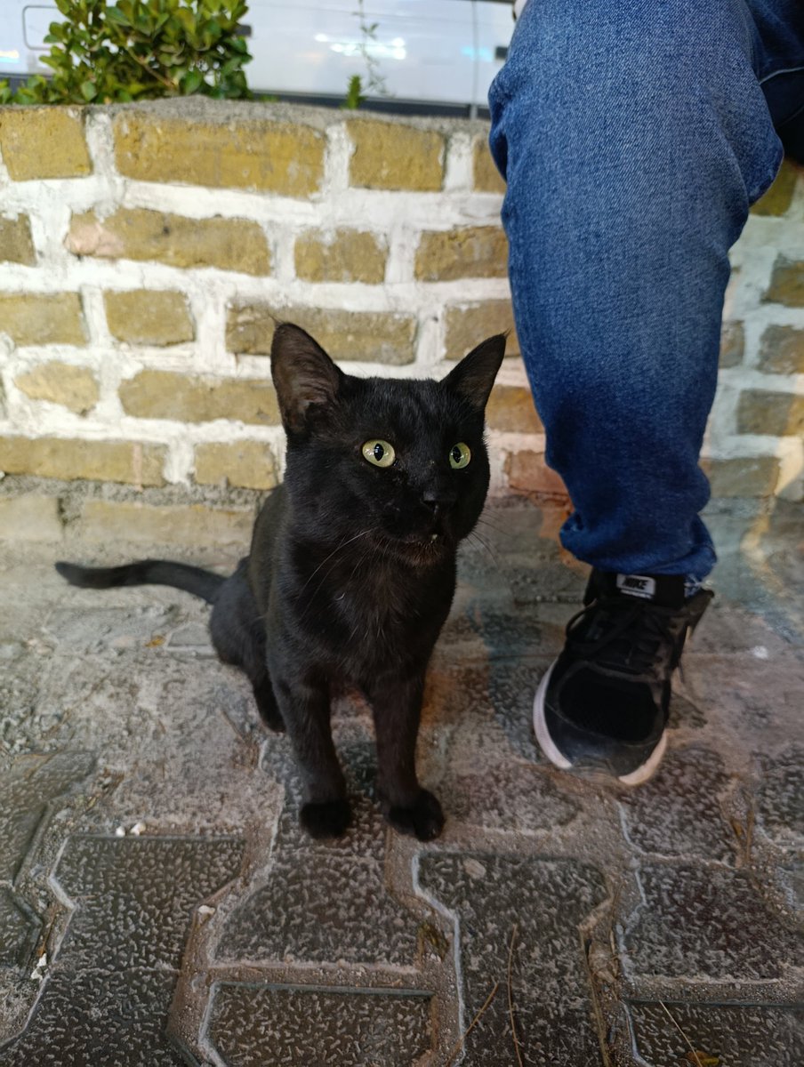 آقا جکی گنگ محلمونه پیرمرد آلفا