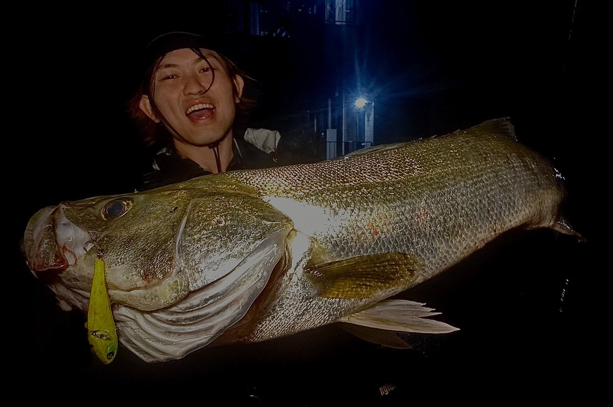 shotaro_kikuchi's tweet image. 夜中の激雨シーバス🎣
一瞬ドカンと降るタイプならここだろと思って小場所を攻めました。
一ついいサイズ取れなかったけど
夏のこの時期伊勢湾でこのサイズは我ながら上出来でしょう。
ヨレヨレで流れの中放置プレイと壁際に流れがぶつかるところに乱牙早巻きで💥
#jadoproducts
#乱牙65
#ヨレヨレ
PR