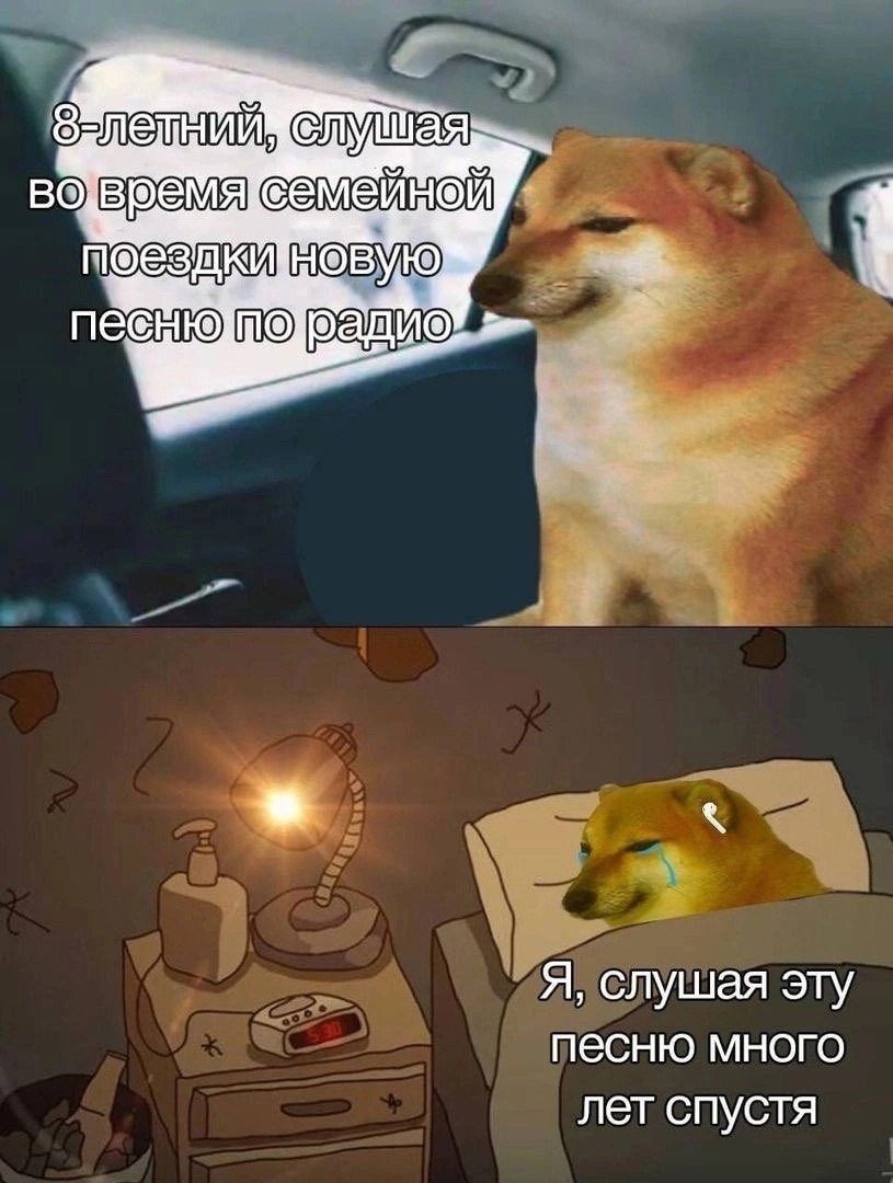 Можно просто Марк (@support_c_mapca) on Twitter photo 
