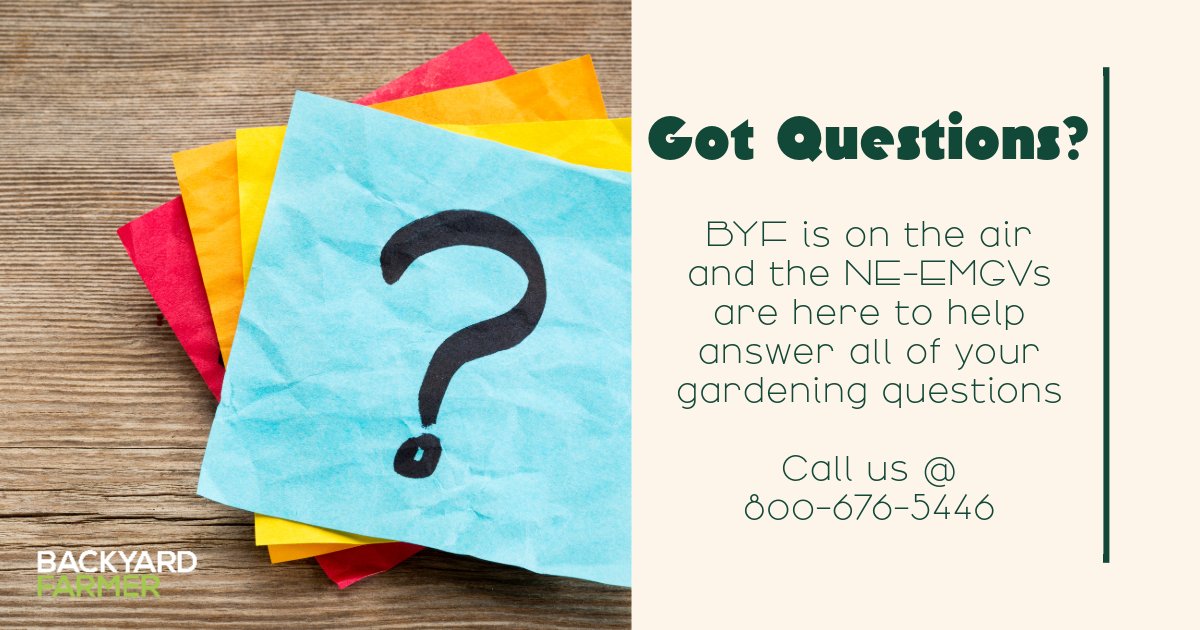 👉Got gardening Questions?  It's Thursday at 7 PM CT call into <a href="/BYFUNL/">Backyard Farmer</a>  and get your landscape❓answered.  Call 800-676-5446 during <a href="/BYFUNL/">Backyard Farmer</a> and the NE-EMGVs will answer your❓#NEBEXT #NEBpublicmedia #BYFGarden #landscape #rotsandspots #turfgrassandweeds #insects #Critters