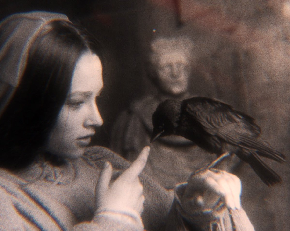 bookarya_'s tweet image. she took a breath to quiet the howling in her heart, trying to remember more of what she'd dreamt, but most of it had gone already. there had been blood in it, though, and a full moon overhead, and a tree that watched her as she ran.
ββ twow, mercy