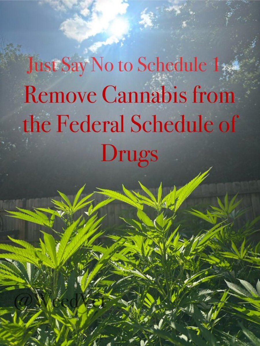 Vet 420 (@weedvet) on Twitter photo 