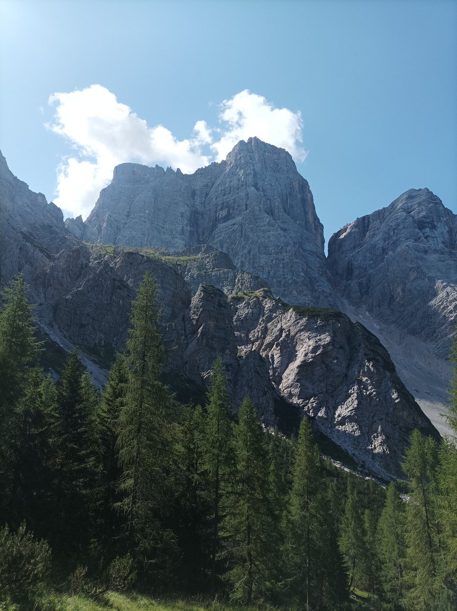 CinziaC19's tweet image. "Avevo bisogno dell'essenziale e in montagna e' piu' facile trovarlo."
A. D' Avenia 📸 🍀