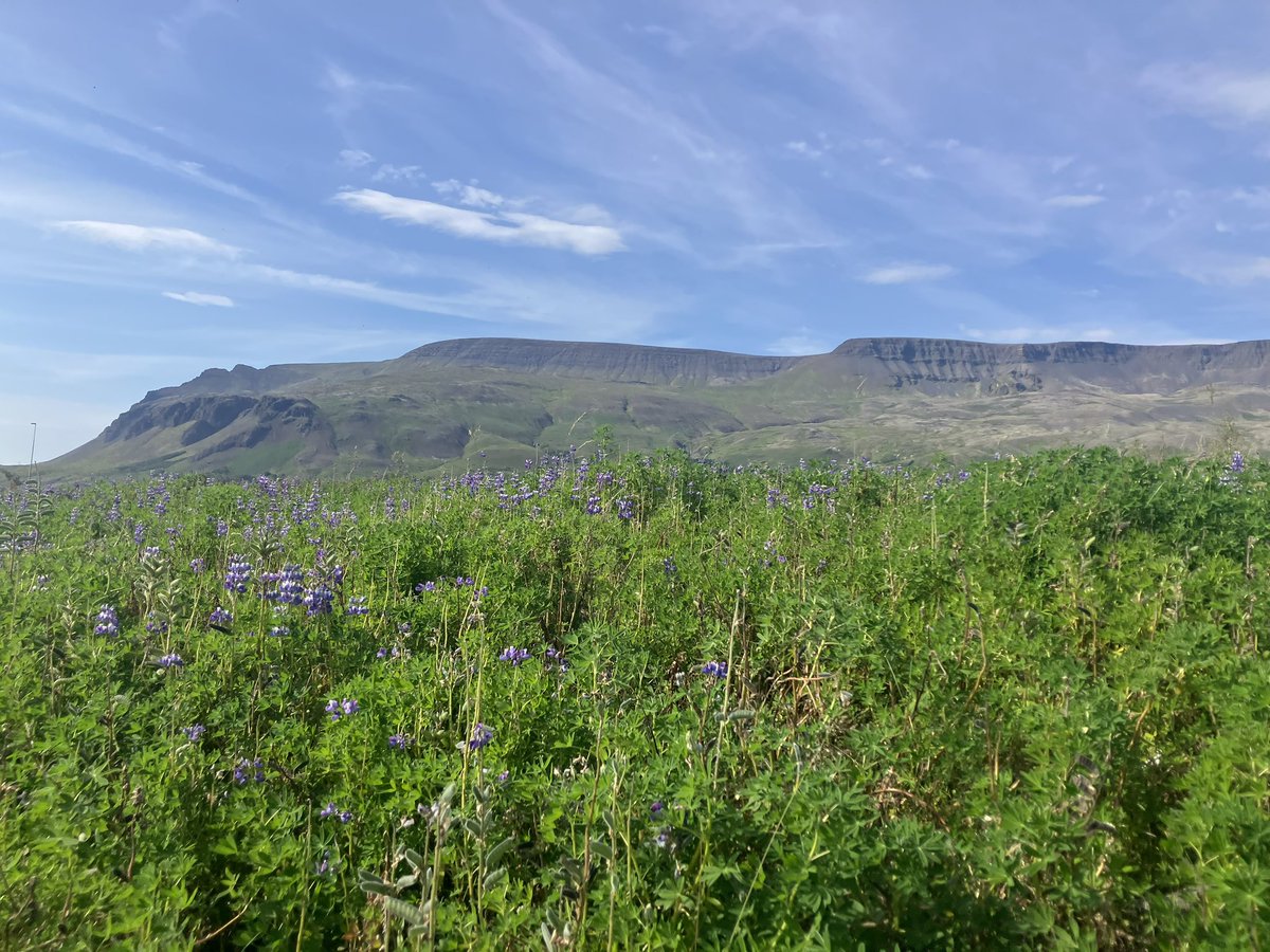 IJsland 🇮🇸 eens kijken of er hier nog voetbal is de aankomende twee dagen…… 😎 is alweer te lang geleden