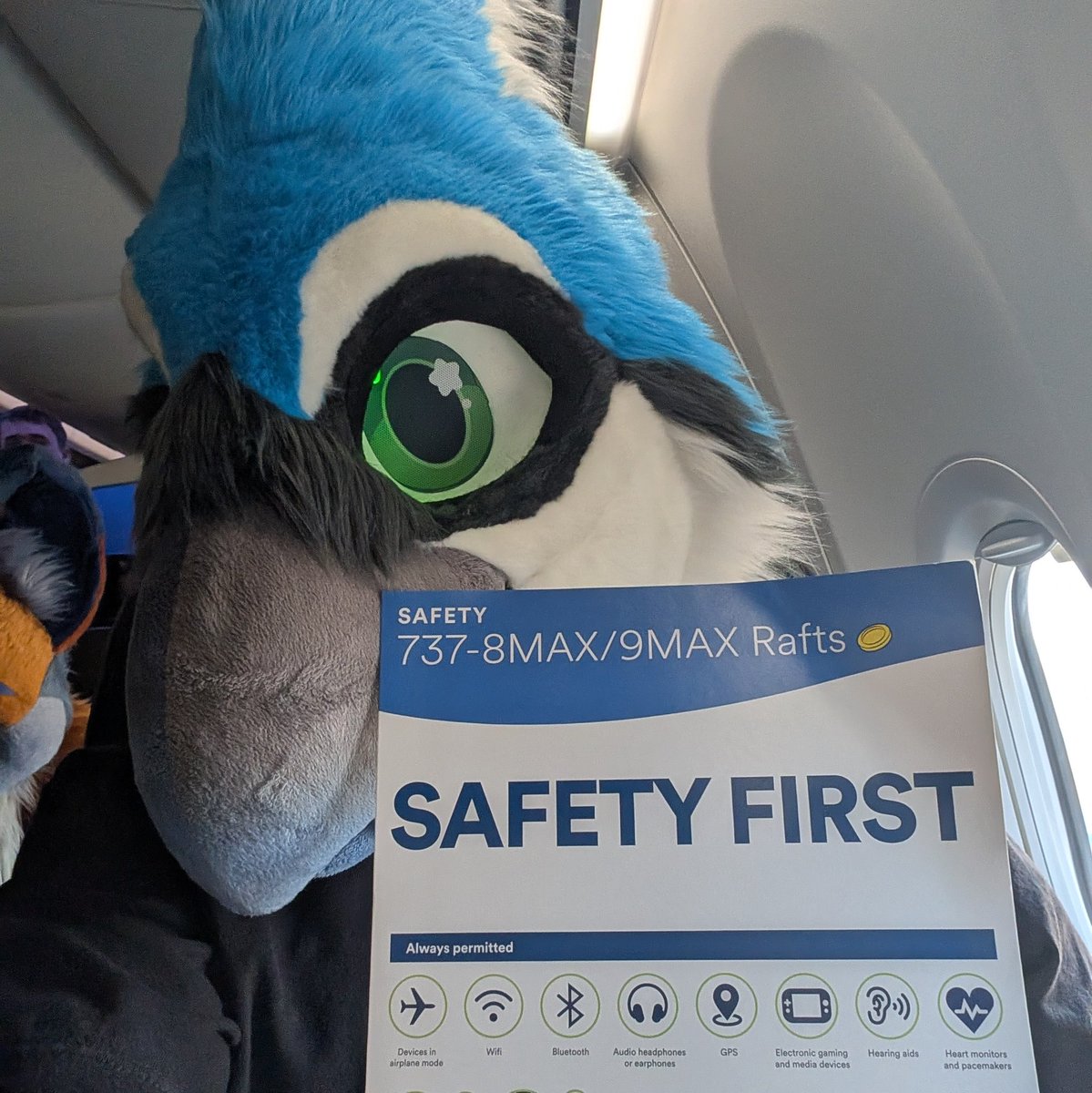 Squawk_the_Jay's tweet image. This does not apply to me, because I can't read.