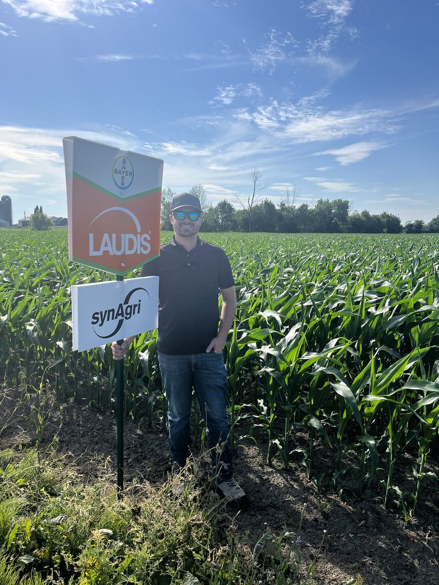 Most of the crops in the region looks Great!🌽 Might as well start installing field signs right!? <a href="/Bayer4CropsCA/">Crop Science Canada</a> <a href="/DesjourdyA/">Alexandra Desjourdy</a> <a href="/FarlaneLivestk/">Katie Macfarlane</a> <a href="/SynAgri_SEC/">SynAgri</a>