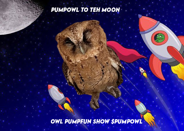 pumpowl's tweet photo. PUMPOWL FLY TO THE MOON https://t.co/b3NNGQHykU