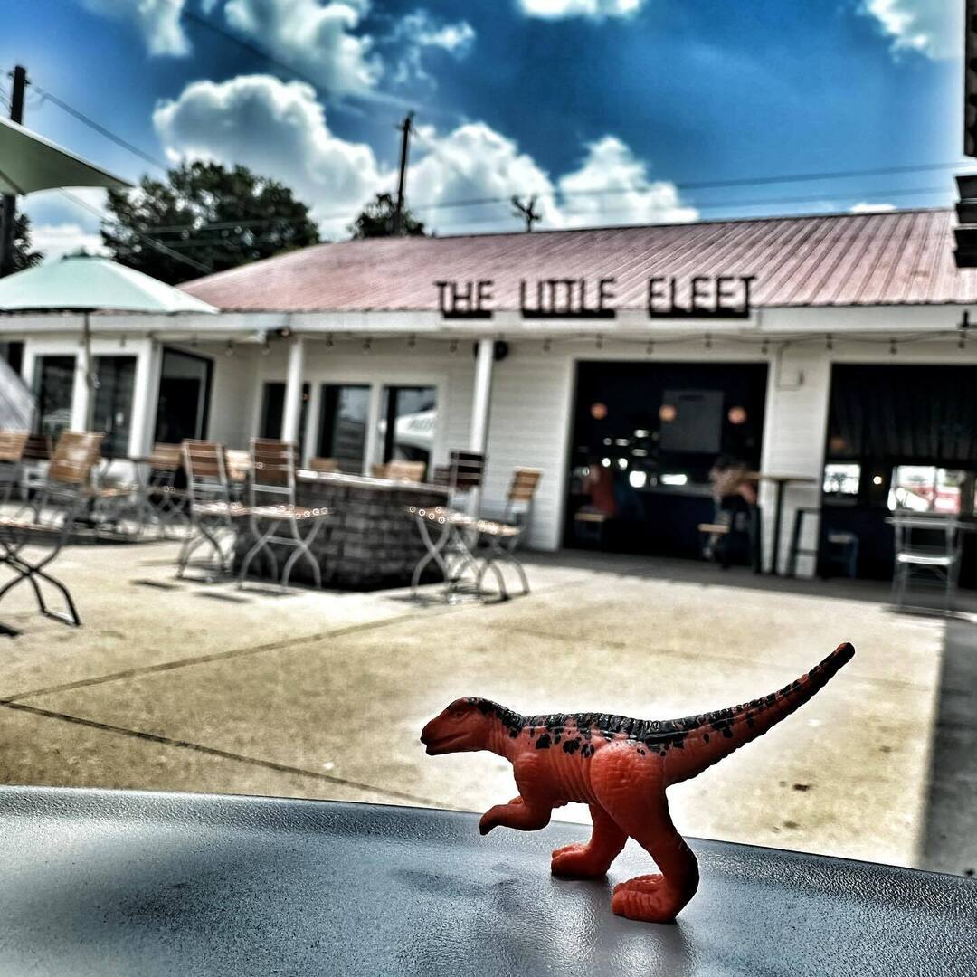 TerraSight's tweet image. Great lunch and cocktails at @thelittlefleet today. This #dinosaurdrop was immediately found by a very happy little girl.
Thanks for the recommendation to the 36 Hours in Traverse City from the @nytimes. instagr.am/p/DMGOZXQu-8M/