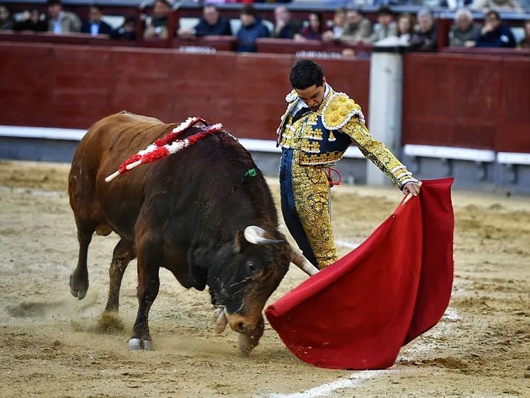 Buen detalle que se recuerde a Mario Navas en One Toro.
Los primeros en el
escalafón están muy vistos. Paso a los jóvenes que son de verdad toreros. Mario es uno de ellos.