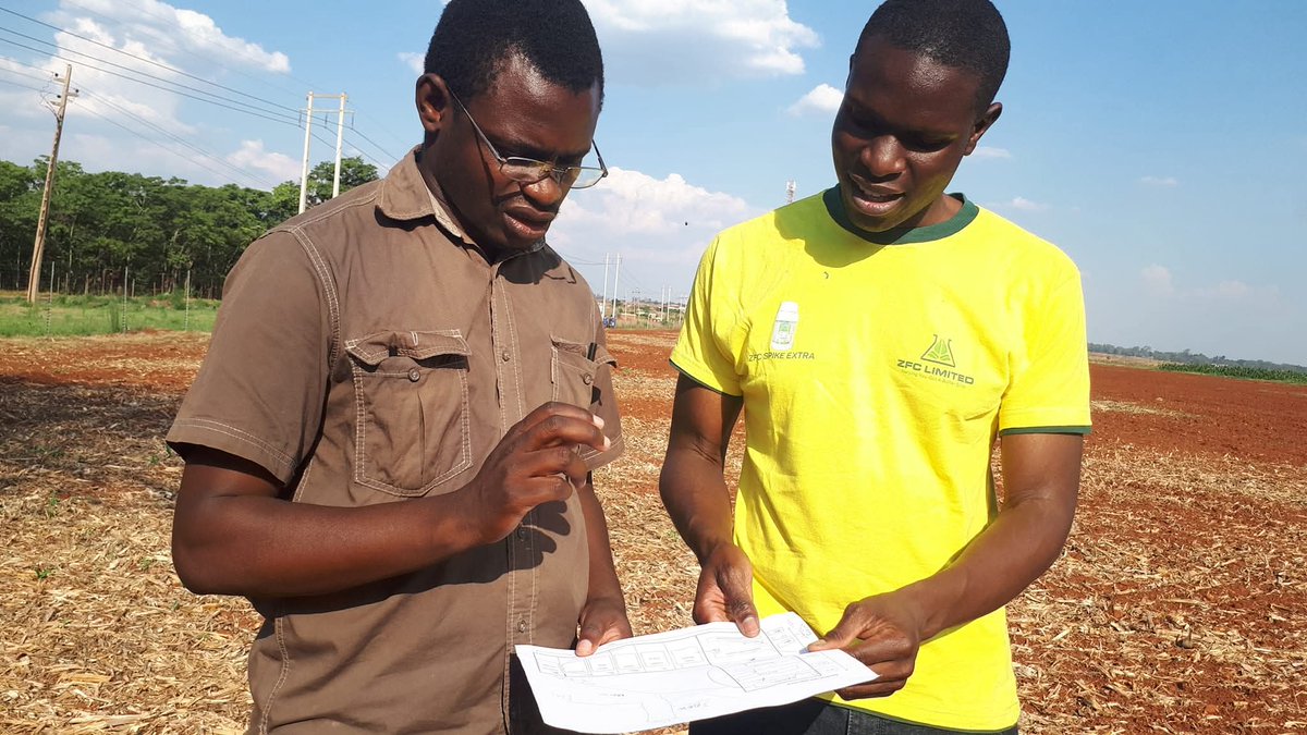 Justice Chembela (@chembelajustice) on Twitter photo It's always such a joy to share notes with your classmate <a href="/TatendaMayaya/">Tatenda Mayaya</a> I keep learning.
#HelpingYouGetABetterCrop It's always such a joy to share notes with your classmate <a href="/TatendaMayaya/">Tatenda Mayaya</a> I keep learning.
#HelpingYouGetABetterCrop