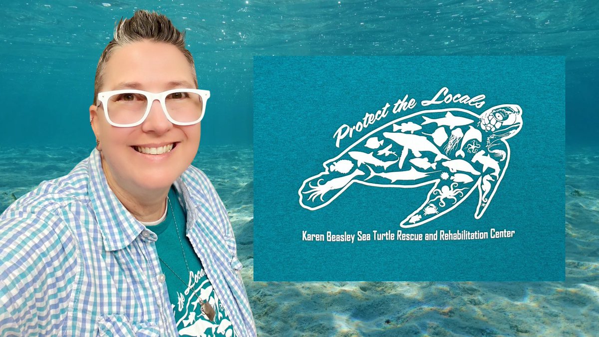 apsitjen's tweet image. I just returned from an awesome roadtrip/summer vacation to the NC Outer Banks. The better half and I enjoyed learning at the @SeaTurtleHosp and we even adopted a sea turtle named Lennie. Of course I picked up a new t-shirt for my collection too.
T-Shirt # 4