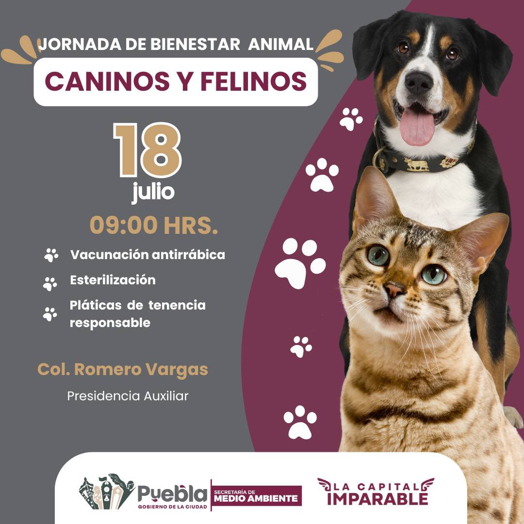 🐾 ¡Proteger a tus animales también es proteger a tu entorno! 🐶🐱
Disfruta de nuestros servicios sin costo para su salud y bienestar:

✅ Cirugías de esterilización.
✅ Vacunas contra la rabia.
✅ Talleres sobre cuidado responsable

📍Está semana estaremos en 👇🏻#Puebla