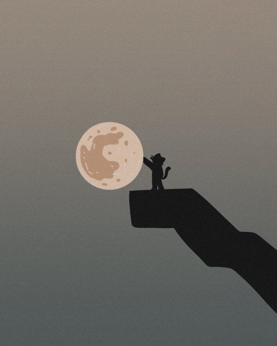 Right at our fingertips. Seize it. 💙🐾