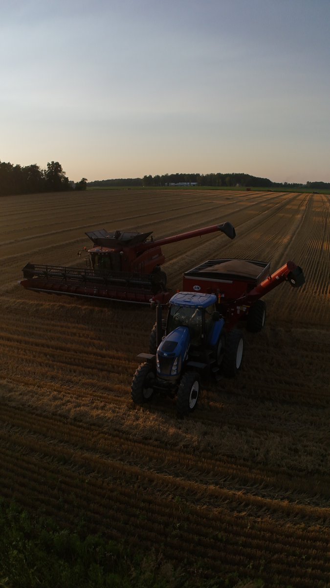 seedgenetics's tweet image. Fantastic shots of AGI 114 wheat harvest by Kannon Jones in Greens Fork, IN!