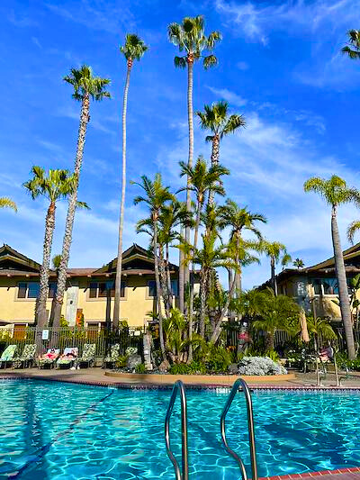Proof that paradise does, in fact, exist — and it comes with a pool and perfect weather! No Monday blues here at #HalfMoonInn 💁‍♀️☀️

Who would you want to lounge around Shelter Island with? Tag your poolside partner👇

📸: Karen F.