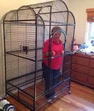 not letting her out until maisie gives us the title and track list of mp3 sorry grandma