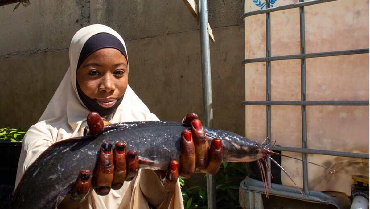 Northern Nigeria’s hunger crisis reflects deeper structural fragilities, conflict, climate shocks &amp; systemic vulnerabilities.

<a href="/AfDB_Group/">African Development Bank Group</a> &amp; partners are proposing long-term, integrated solutions,from climate-smart agriculture to resilient food systems.
🔗 blogs.afdb.org/economic-growt…