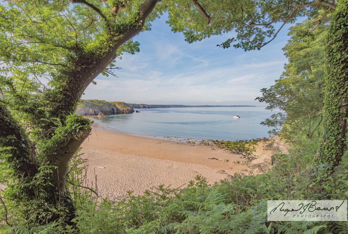 NJBDP's tweet image. Barafundle Bay
#pembrokeshire
#pembrokeshirecoast
#wales