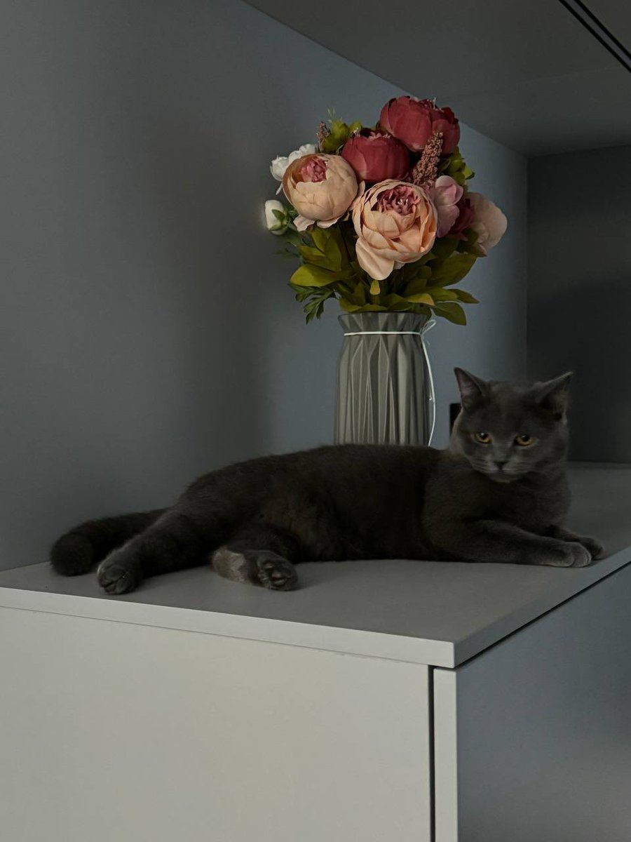 Он вытянул свой счастливый билетик