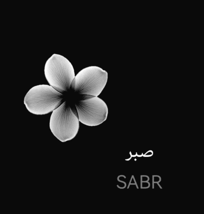 روح چاہے کچھ بھی ہو اداس ہی رہے گی 
کیونکہ یہ دنیا اس کا گھر نہیں۔
جلال الدین رومی رح
